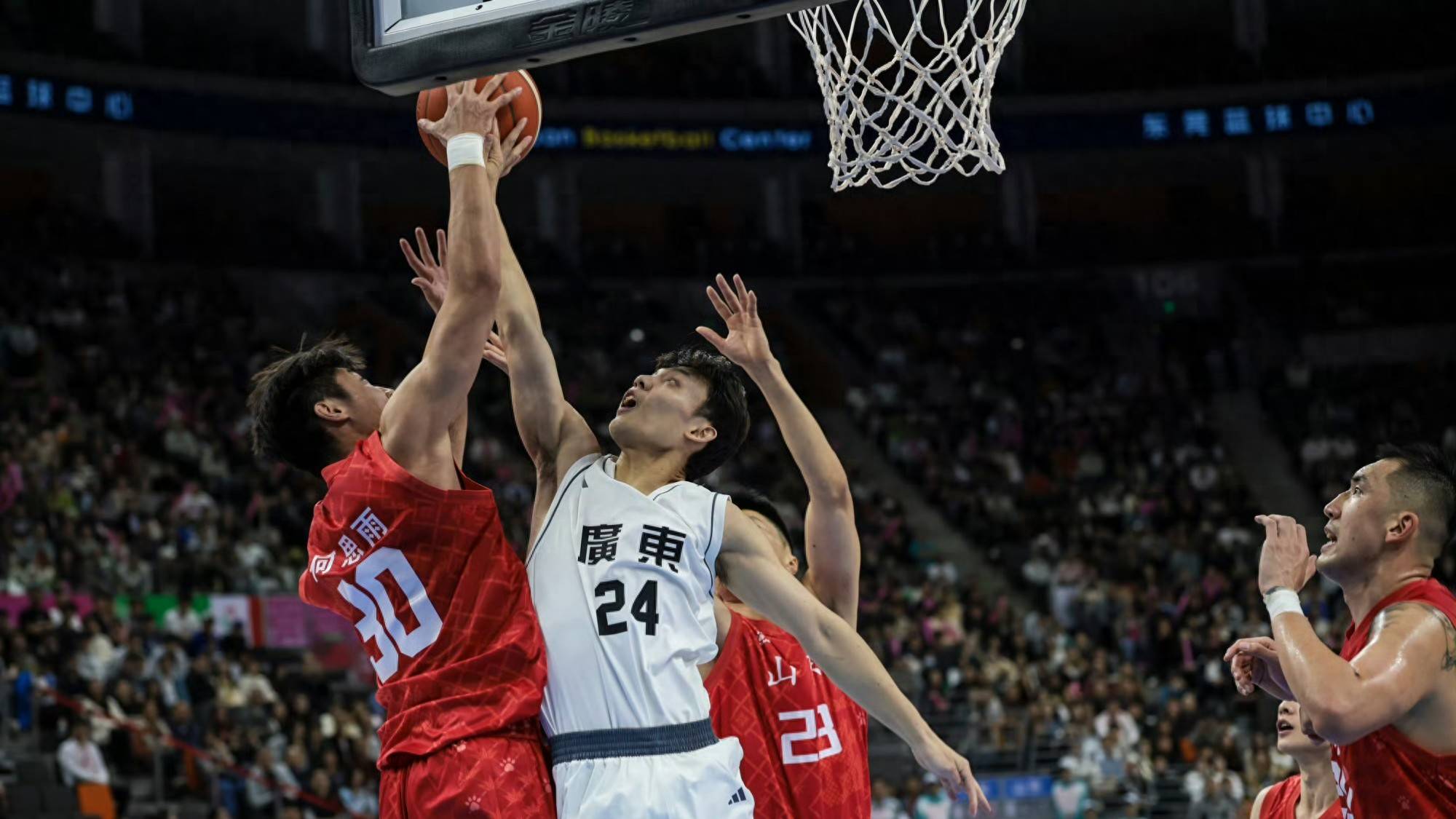 广厦男篮最新官方消息今天